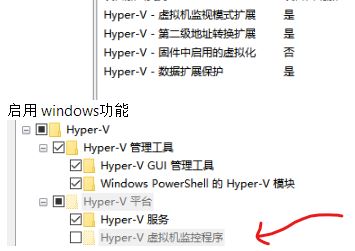 win10 hyper-v虛擬機(jī)監(jiān)控程序灰色無法選取該怎么辦？