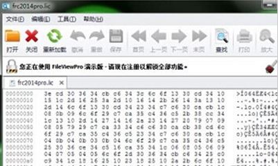 lic文件怎么打開？lic格式文件打開亂碼的解決方法