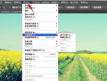 ps矢量蒙版怎么用？ps矢量蒙版詳細使用方法