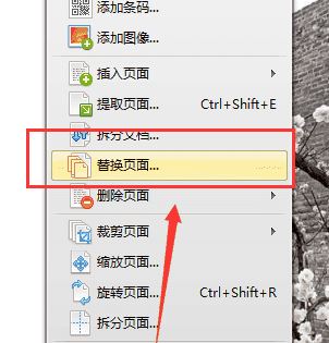 怎么刪除pdf中不要的頁(yè)面？教你pdf刪除頁(yè)面（圖解）