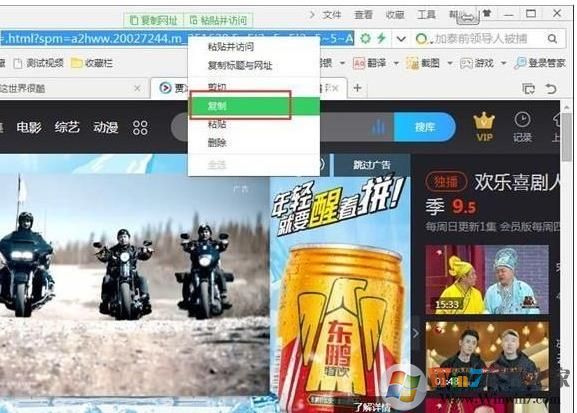 視頻下載王Apowersoft v6.4.6中文破解版(網(wǎng)頁視頻下載工具)