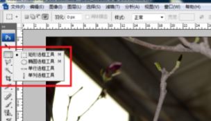 ps局部放大怎么調(diào)？PS放大局部位置的操作方法（含快捷鍵）