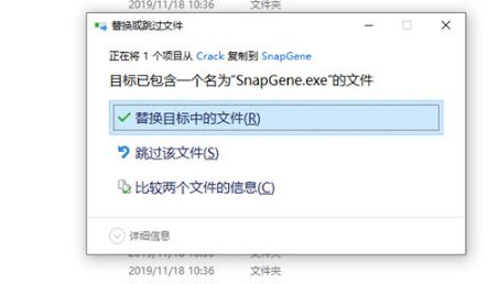 SnapGene下載_snapgene設(shè)計引物漢化破解版