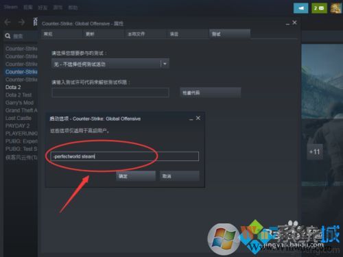 csgo優(yōu)化啟動項讓游戲更流暢方法