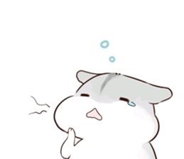 hamham倉(cāng)鼠表情包