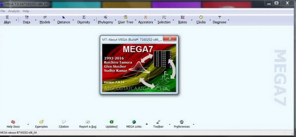 Mega下載_Mega進(jìn)化樹(分子進(jìn)化遺傳分析軟件)綠色免費(fèi)版