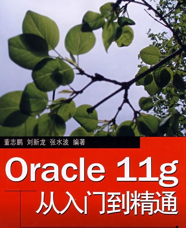 Oracle11g教程_Oracle11g從入門到精通PDF高清電子版