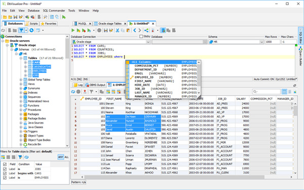 DbVisualizer Pro(數(shù)據(jù)庫管理工具) v12.2破解版