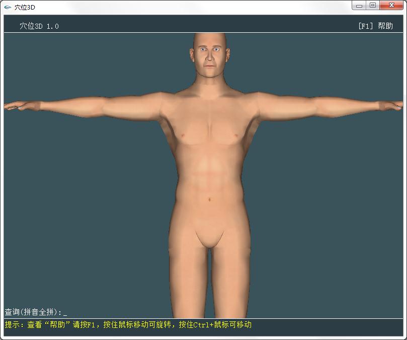 人體穴位3D模型軟件 v2.11綠色版