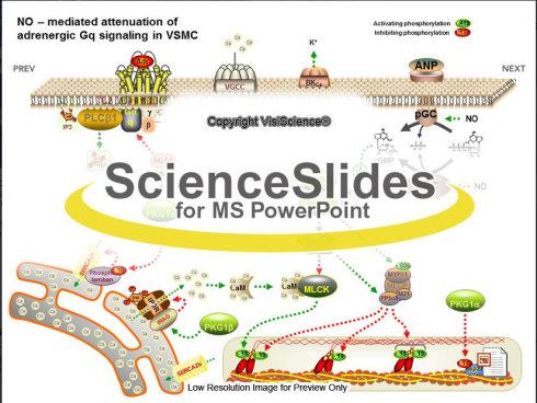 ScienceSlides(PPT制作插件) 2016免費(fèi)版