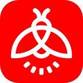 火螢視頻壁紙手機(jī)版