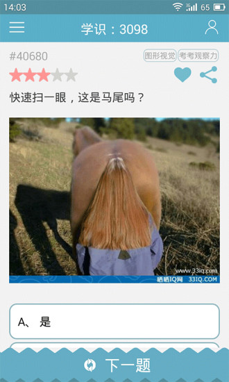 33IQ檢測(cè)工具