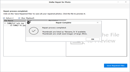 Stellar Repair for Photo(圖片恢復(fù)工具) v8.2.0.0官方正版