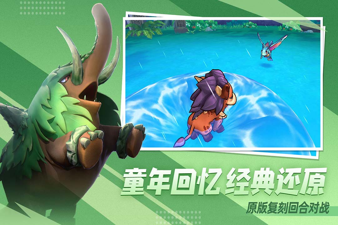 口袋進化