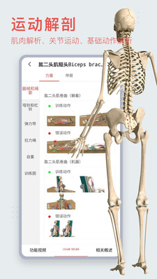 3DBody安卓版