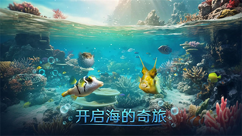 小小水世界(內附攻略)