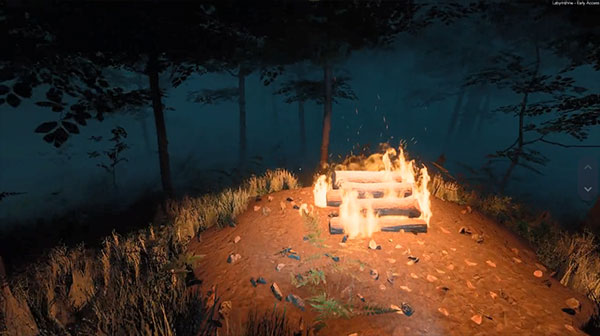 迷宮探險(xiǎn)(Labyrinthine)