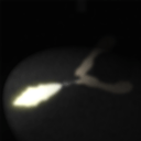 細(xì)菌邊緣游戲