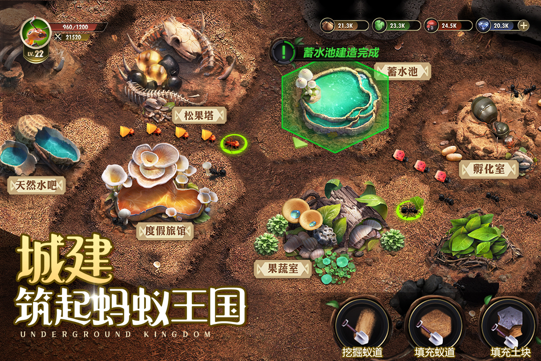 小小蟻國內(nèi)置菜單版