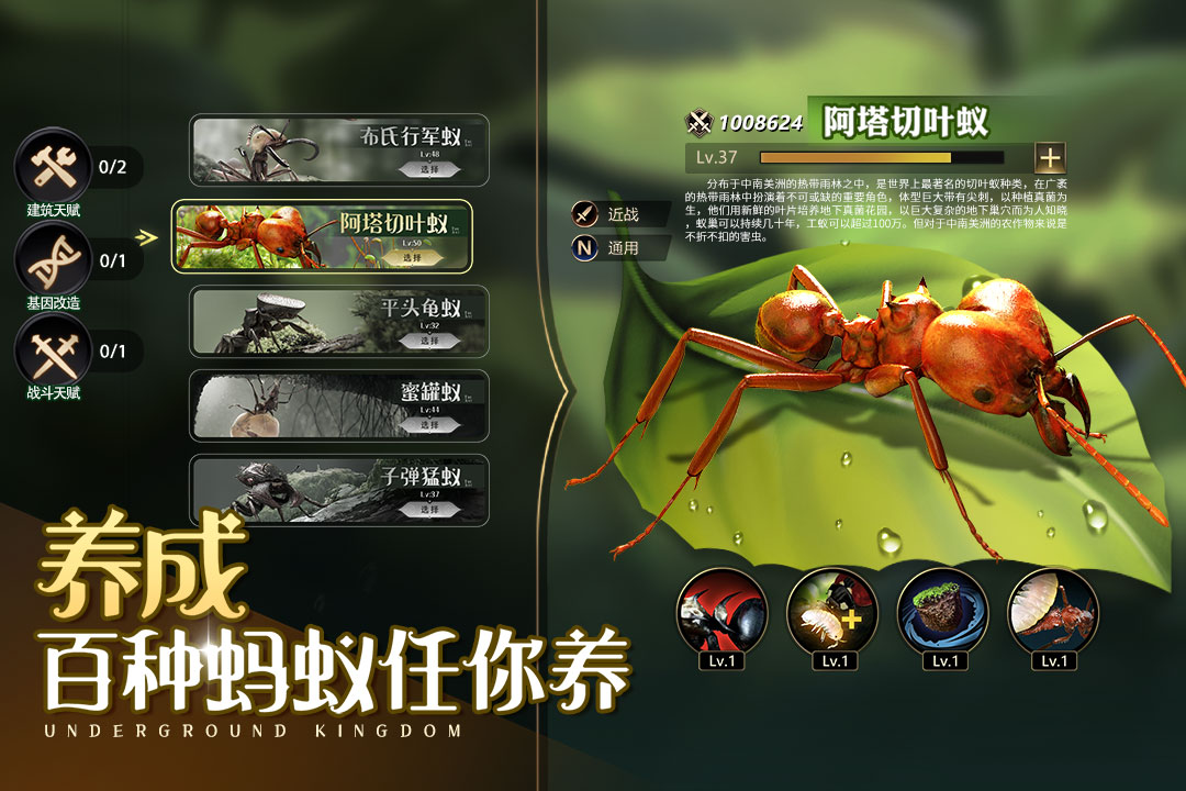 小小蟻國內(nèi)置菜單版