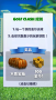 決戰(zhàn)高爾夫國際版