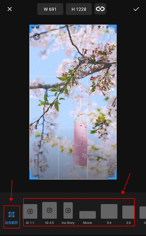 專業(yè)照片編輯器