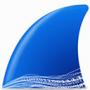 wireshark