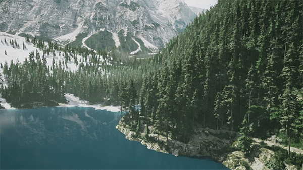 模擬美景攝影(Lushfoil Photography Sim)