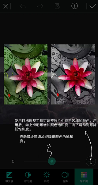 相片大師app最新版